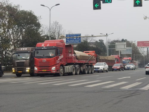 交通安全整治②丨貨車過(guò)磅客車登記 交警嚴(yán)執(zhí)法保道路安全